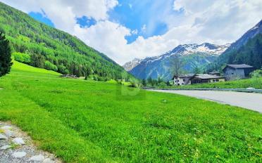 Bauland - image - 3