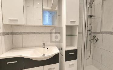 Duplex 3.5 Zimmer - image - 4