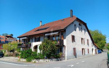 Wohnung 2.5 Zimmer - image - 1