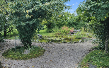 Maison 8.5 pièces - image - 6