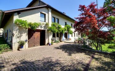 Maison contiguë 12 pièces - image - 2