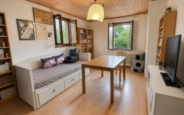 Single house 7 rooms - image - 5