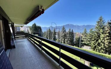 Apartment 5.5 rooms - image - 6
