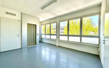 Office 5 rooms - image - 2