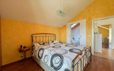 Villa 5 Zimmer - image - 6