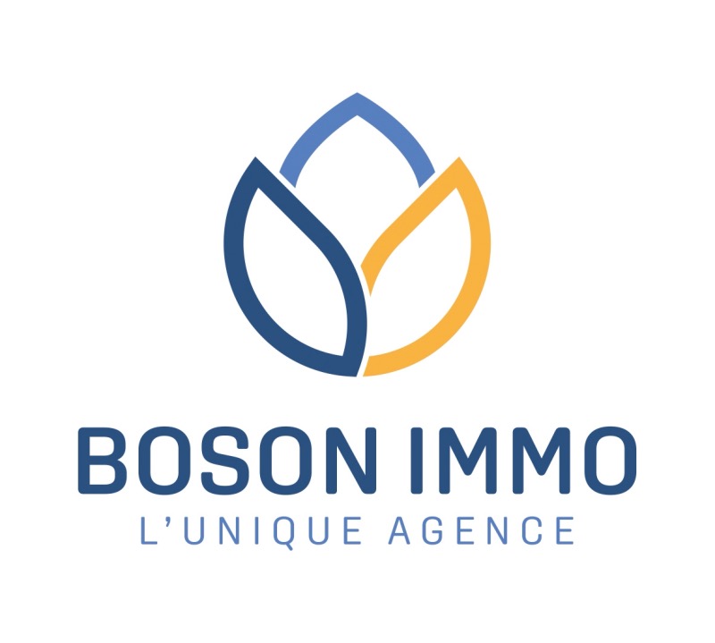 Boson Immo