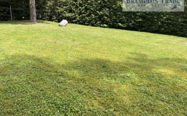 Villa 8 Zimmer - image - 7