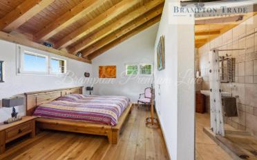 Villa 8 Zimmer - image - 13