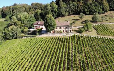 Ferme 20 pièces - image - 1