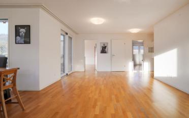 Dachwohnung 4.5 Zimmer - image - 8