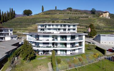 Wohnung 4.5 Zimmer - image - 8