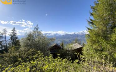 Chalet 5.5 Zimmer - image - 7