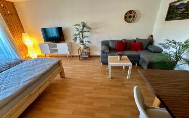 Apartment 1 room - image - 1