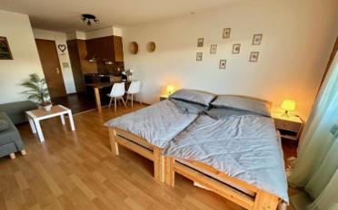 Apartment 1 room - image - 4