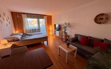 Apartment 1 room - image - 5