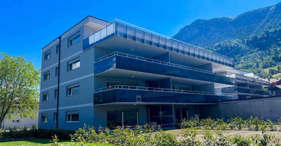 Tzaly n°31