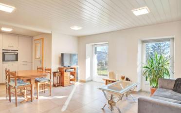 Chalet 4.5 rooms - image - 2