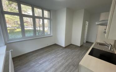Wohnung ein Zimmer - image - 3