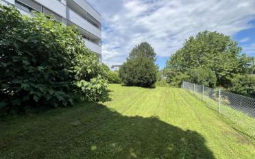 Wohnung 3.5 Zimmer - image - 8