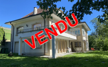 Einfamilienhaus 9.5 Zimmer - image - 1