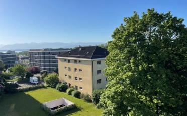 Apartment - image - 1