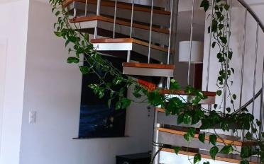 Duplex - image - 6