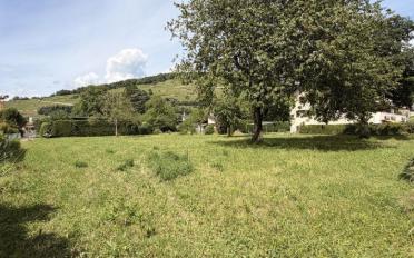 Terrain à bâtir - image - 2
