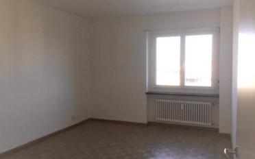 Appartement 3 pièces - image - 7