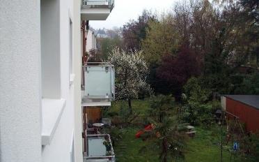 Wohnung 2.5 Zimmer - image - 5