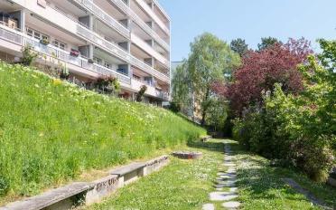 Apartment 2.5 rooms - image - 1
