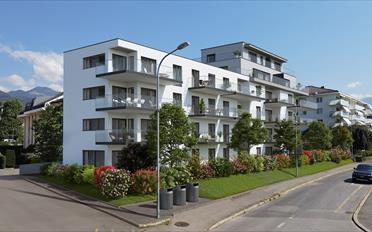 Wohnung 2.5 Zimmer - image - 1