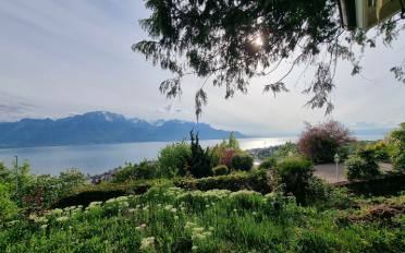 Villa 5.5 pièces - image - 17