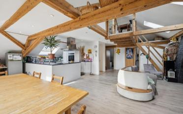 Immeuble mixte 12.5 pièces - image - 1