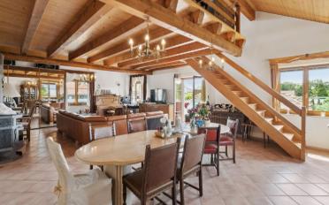 Duplex 5 Zimmer - image - 2