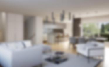 Maison contiguë - image - 1