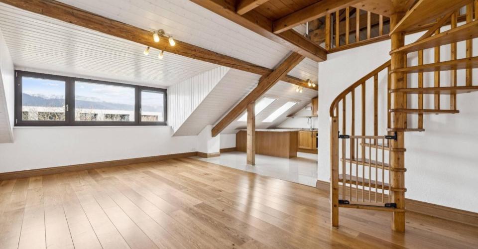 SPACIEUX APPARTEMENT DE CHARME AU COEUR DU VILLAGE DE MEYRIN