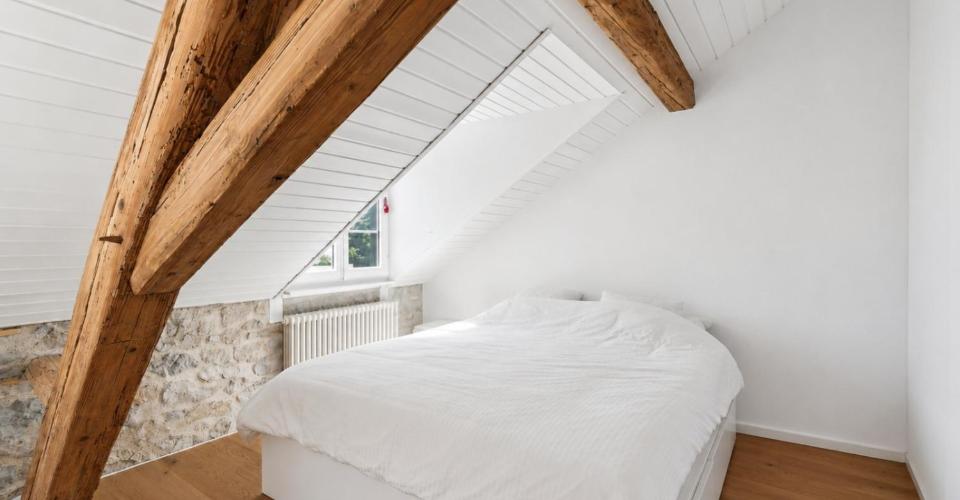 Puplinge