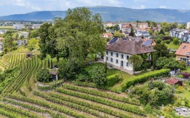 Einfamilienhaus 12 Zimmer - image - 5