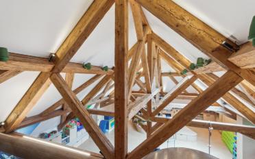 Einfamilienhaus 20 Zimmer - image - 13