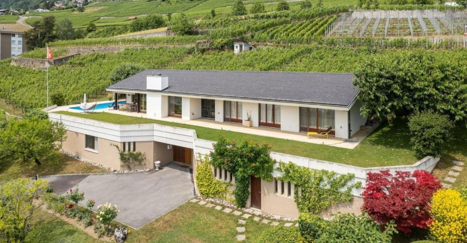 Entre le vert des vignes et le bleu du lac