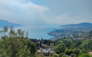 Bauland - image - 1