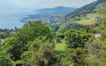 Terrain à bâtir - image - 5