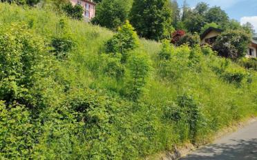 Terrain à bâtir - image - 6