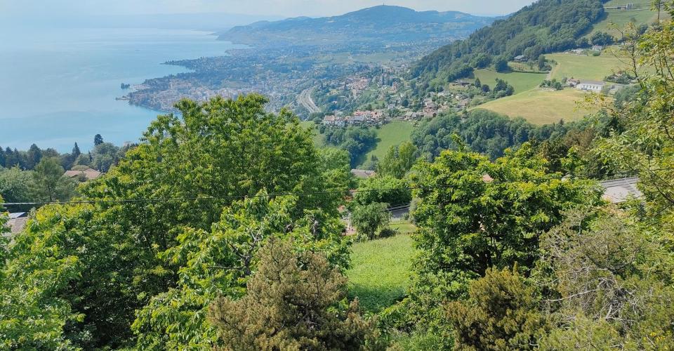 Glion