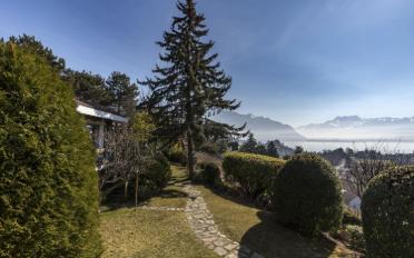 Single house 12 rooms - image - 2
