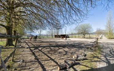 Maison 10.5 pièces - image - 11