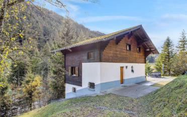Chalet 7.5 pièces - image - 2