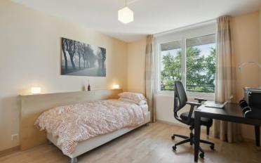 Wohnung 4.5 Zimmer - image - 11