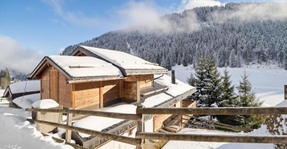 Morgins