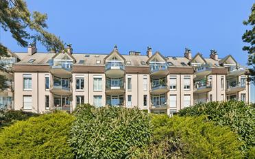 Appartement 5.5 pièces - image - 13